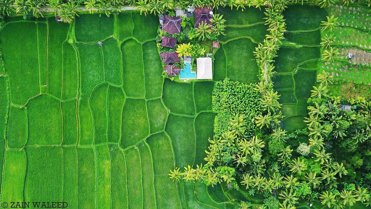 Hati Padi Cottages Ubud  3*, Ubud (Bali)
