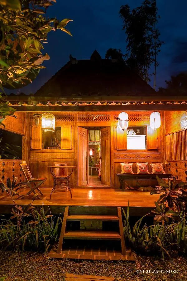 Hati Padi Cottages Убуд 3*,  Индонезия